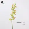 Ventas directas de fábrica: Decoraciones de Muestras de Flores Laminadas 3D de Phalaenopsis Realista y Orquídea Asiática Pequeña, Orquídeas Araña de Colores