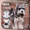 Correa para Perro Perro Bichón Corgi Arnés Perro Mascota Teddy Estilo Chaleco Grande Mediano Pequeño Shiba Inu Correa