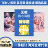 Pintura en Lienzo Pedido Mínimo Una Pieza Entrega Global al Extranjero Amazon Xiyin Aliexpress Temu Pintura al Óleo