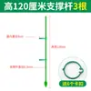Suporte para Orquídea Phalaenopsis Haste de Suporte para Planta de Orquídea Suporte Retificador de Fibra de Vidro Haste de Fixação para Planta Trepadeira