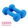 Halteres de ferro puro femininos e masculinos 1/2/3/4/5kg par de halteres coloridos equipamento de fitness halteres com revestimento fosco