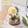Kit de Materiais para Cúpula de Vidro com Flores Eternas DIY Enfeites de Flores Secas Oficina de Construção de Equipe Pai-Filho para Jardim de Infância Arranjo de Flores Feito à Mão