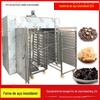 Caixa de secagem de circulação de ar quente de aço inoxidável Huazhung Secador de batata-doce Secador de alimentos para batata-doce Duas portas