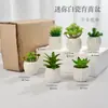 Línea Mini de Empaque para Pedidos por Correo Exportación Rayas Quemadas Lisas Maceta Pequeña de Porcelana Blanca Flor Carnosa con Base de Bambú