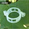 Clips de Soporte para Plantas para Fijar Enredaderas, Clips Agrícolas para Enrejado para Tomates y Enredaderas, Clips Especiales para Plantas Verdes