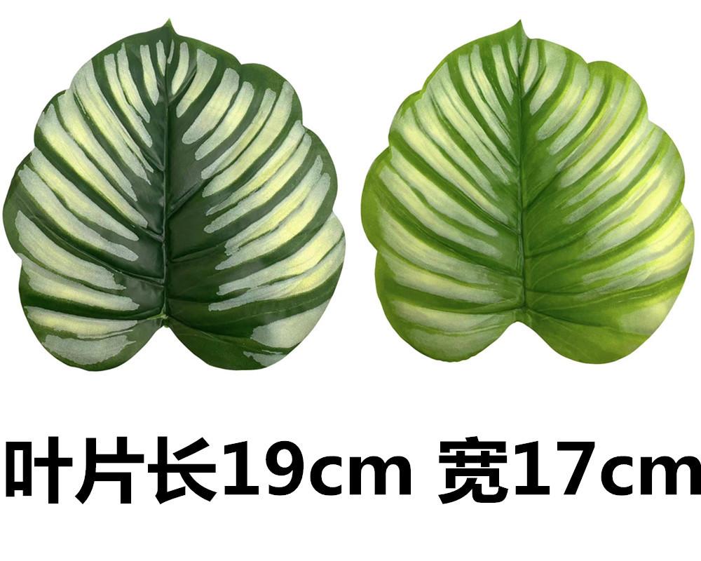 未命名_副本