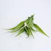 Directo de fábrica decoración de valla divisoria flor falsa planta verde accesorios de pared de plantas orquídea artificial de plástico