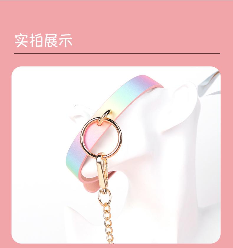 牵引链项圈_07