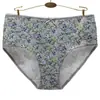 Yunmeng Ni Algodão Sul-Americano Calça de Vovó Floral Moda Calcinhas Femininas Mercadoria de Origem ebay Amazon wish