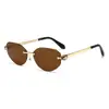 Estilo Europeo y Americano 2025 Nuevas Gafas de Sol Gafas de Sol de Marca Famosa Metálicas Sin Marco Poligonales Gafas de Sol de Moda para Mujer Gama Alta