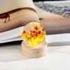 Suministro Transfronterizo Bola de Cristal de Resina Incrustada Luz Nocturna Flor Eterna Base de Madera Maciza Tallada en 3D Luminosa Regalo de Cristal