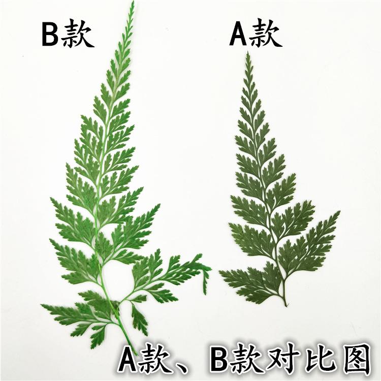 IMG20190107161022