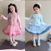 Roupa Infantil Conjunto para Meninas Suéter Tricô Colete Cartoon com Vestido de Renda Vestido Princesa 26 Outono Inverno Novo