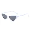Nuevas Gafas de Sol Cat-Eye para Mujer, Nuevas Gafas de Sol Europeas y Americanas para Mujer, Modernas Gafas Retro de Marco Pequeño de Tendencia Transfronteriza