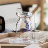 Estilo Ins Creativo Simple Nórdico Transparente Florero para Flores Secas con Elevación de Agua Adornos Decorativos de Celebridad de Internet para el Hogar Sala de Estar