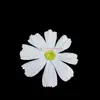 Acessórios de cabeça com cabeça de flor cosmos de tecido artificial, flores cosmos, margaridas, acessórios de cabelo DIY, materiais para corsage, decoração floral atacado