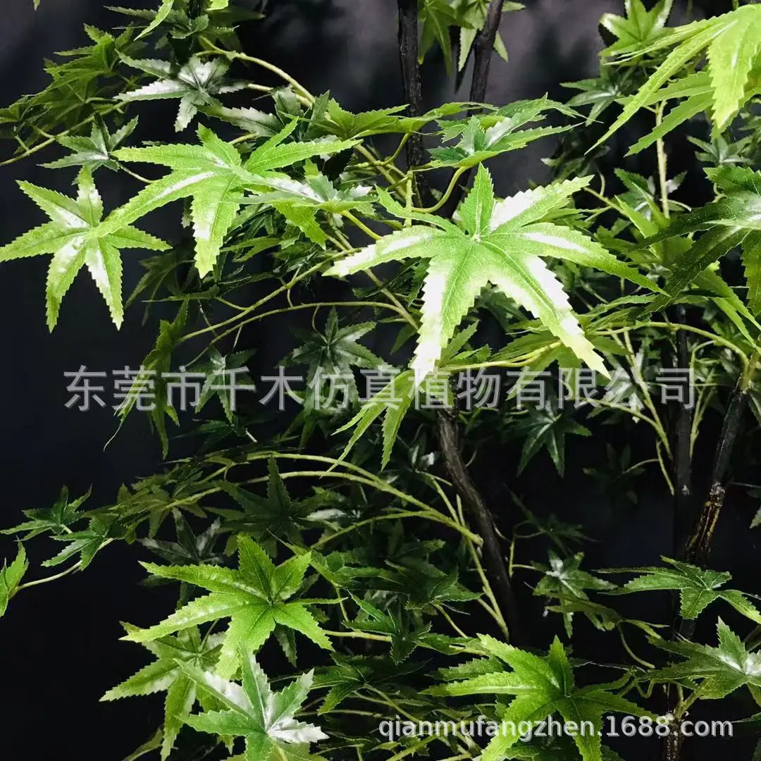 微信图片_201909281728235