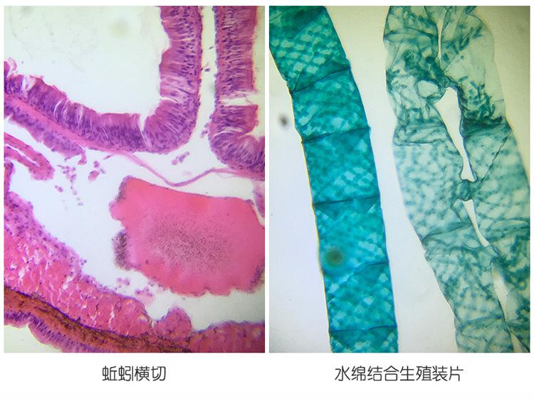 详情页14