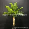 Simulación de planta de taro de primavera planta verde artificial de pie en maceta taro de arroz taro sala de estar ventana interior oficina grande decoración