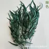 Mijo de Vida Eterna Fruta Hoja Flor Preservada Flor Eterna Flor Seca Venta al por Mayor Navidad Decoración del Hogar Material para Arreglos Florales