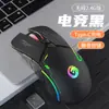 Mouse sem fio quente transfronteiriço Bluetooth Dual-mode grande mão recarregável mudo computador de jogo de escritório universal modelo privado