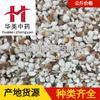 Fruta Gorgônia 1000g, Huamei Medicina Herbal Chinesa, Fornecimento Atacadista de Materiais Medicinais Chineses, 46 Frutas Gorgônia em Estoque, Grande Quantidade, Preço Favorável, Especificações Completas