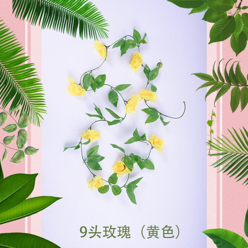 9头玫瑰（黄色）1