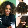 Peluca de Fibra Química Europea y Americana Más Vendida en Temu Peluca de Seda de Alta Temperatura Cabello Corto de Ganchillo Oruga