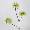 Venda Direta da Fábrica Flores Artificiais Lírio Clívia Galhos Decoração Adereços para Fotografia de Casamento Acessórios para Casa Design de Exibição