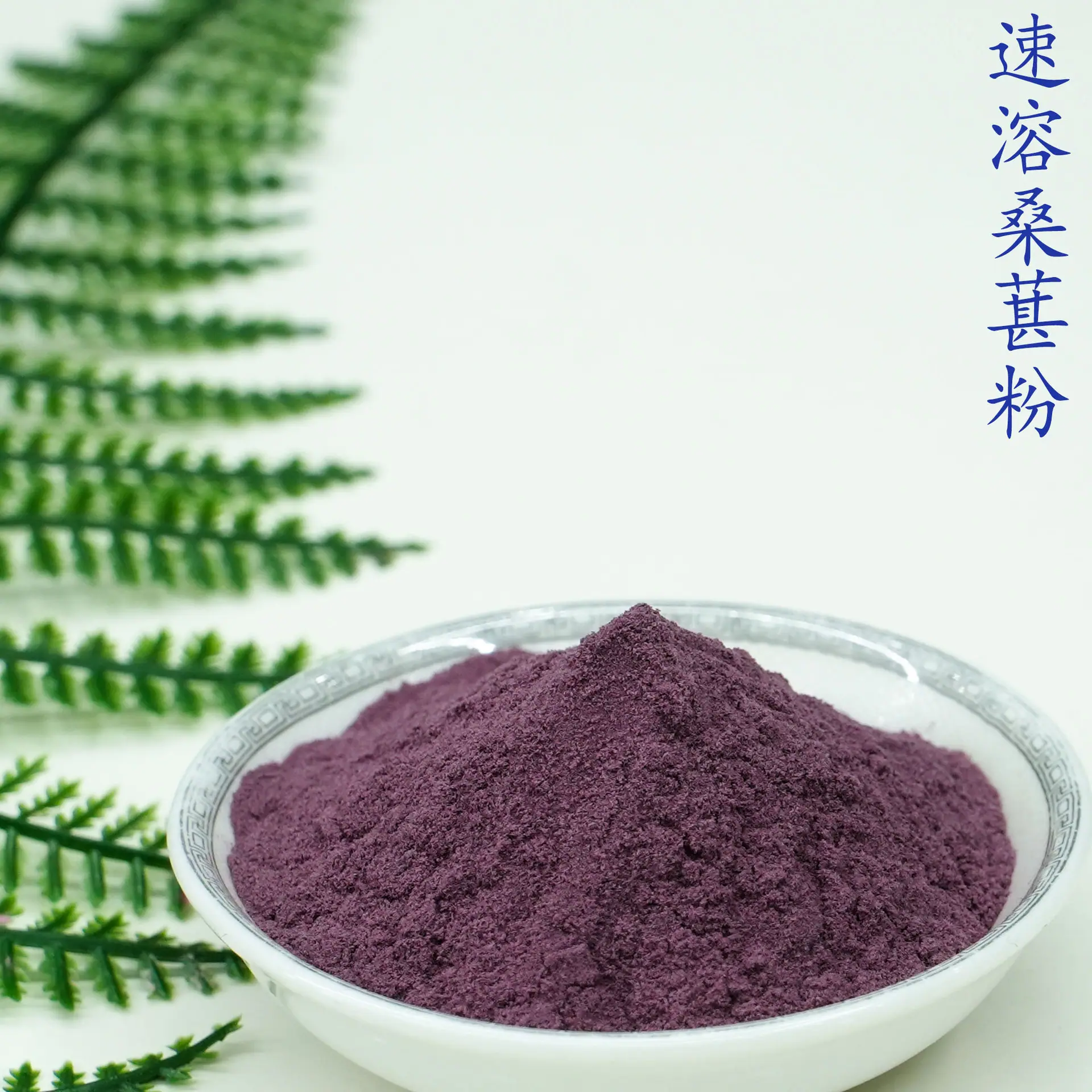 速溶桑葚粉5.jpg