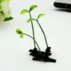 Presilhas de Cabelo com Flores Artificiais Fofas, Presilhas de Cabelo Longas de Broto de Feijão Mágico para Atacado, Presilhas de Cabelo Pequenas de Flor de Grama