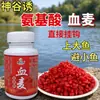 Sangue trigo pesca isca grão trigo pesca selvagem carpa grama carpa Four Seasons isca God Valley atrair aminoácido caixa de trigo de sangue