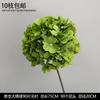 Decoración de Flores Artificiales Verdes Material de Flores de Hoja de Manzana Flor Exterior Planta Verde Hermoso Arreglo Chen Simulación de Hoja de Tortuga Arte Floral para Boda