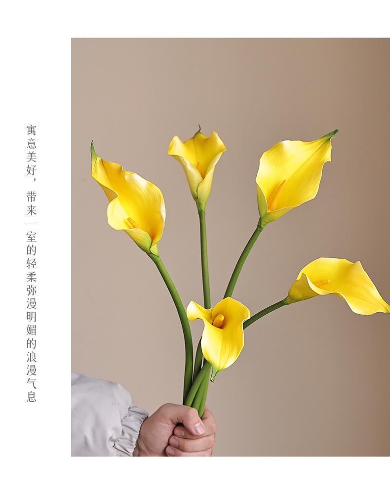 初妆大马蹄莲_08.jpg