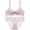 Comércio Exterior Venda Quente Conjunto de Lingerie Francesa Sexy para Mulheres, Seios Grandes, Faz os Seios Parecerem Menores, Lingerie Anti-Queda, Conjunto de Sutiã de Renda Fina com Taca Pura Desejo