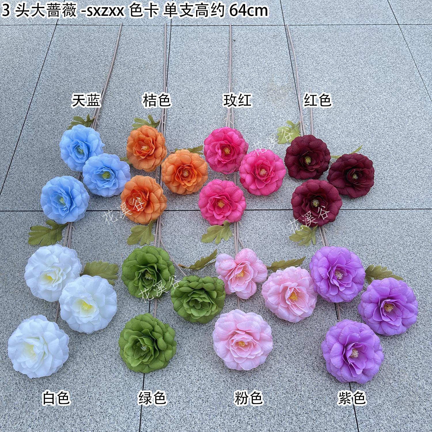 3头大蔷薇-sxzxx 色卡 花溪谷.jpg