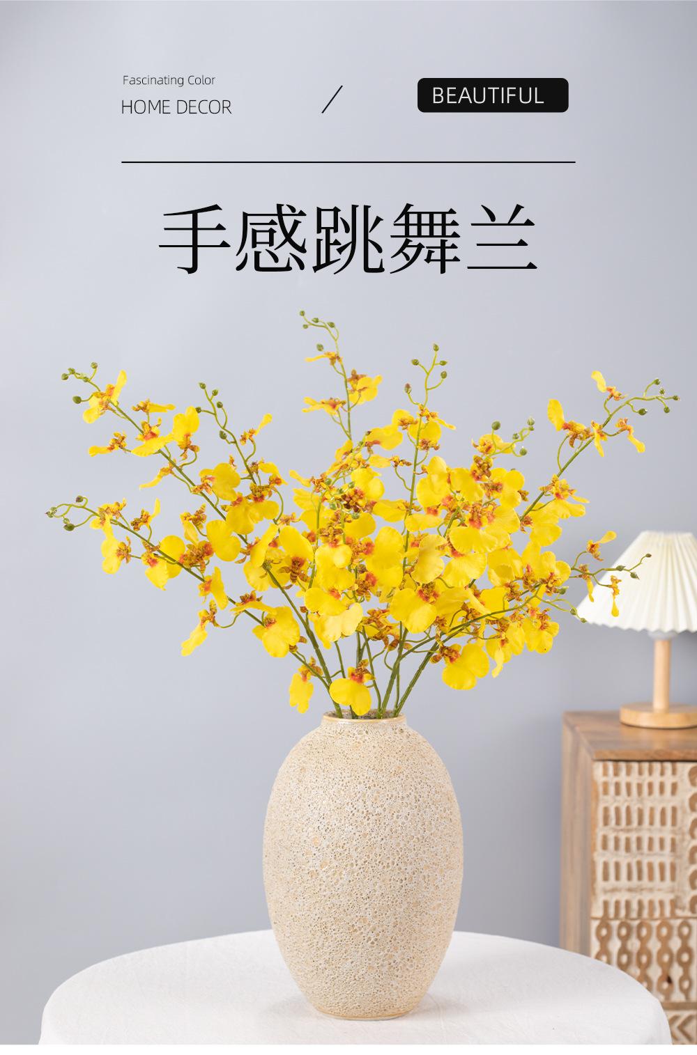 详情_01.jpg