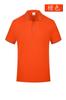 Polo de Verano de Manga Corta con Solapa para Hombre Ice Ion 200g Camiseta Ropa de Trabajo Personalizada Venta al por Mayor con Estampado