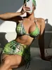 Venta al por mayor de trajes de baño europeos y americanos para mujer, bikini sexy estampado 2024, modelo nuevo transfronterizo, fabricante Amazon Xinyuan