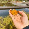 Tetera de Cristal para Ganar Dinero, Regalo de la Suerte, Adorno de Tetera de Cristal de Mahjong, Colorido de Año Nuevo
