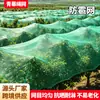 Red anti-granizo para huertos, red protectora anti-granizo para invernaderos y tierras de cultivo, red anti-pájaros y anti-granizo para huertos de nuevo material de polietileno