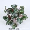 Parede de planta artificial simulada para ponto de luz, material de decoração de parede para fundo de casamento, planta verde, vaso de planta, cola, folhas, feixe de 7 cabeças, endro verde