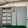 Máquina de Brotes de Frijol Comercial Máquina de Brotes de Frijol Totalmente Automática Equipo Automático para Brotes de Frijol Máquina de Brotes de Frijol Doméstica Pequeña y Mediana