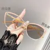 Óculos Fotocromáticos Anti-Luz Azul Transfronteiriços High-End Lisos Modernos Lentes Planas Armação de Óculos Cat-Eye Fashion para Celebridade da Internet