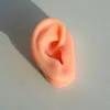 Corpo Artificial Características Faciais Silicone Orelha Sobrancelha Lábio Modelo Beleza Tatuagem Bordado Prática de Ensino Joias Exibição Adereços Suporte