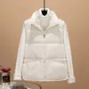 Chaleco de Algodón con Cremallera Estilo Coreano Nuevo Otoño e Invierno para Mujer con Cuello Alto Ajustado Cálido Moderno Corto Sin Mangas Color Sólido Chaleco Chaqueta