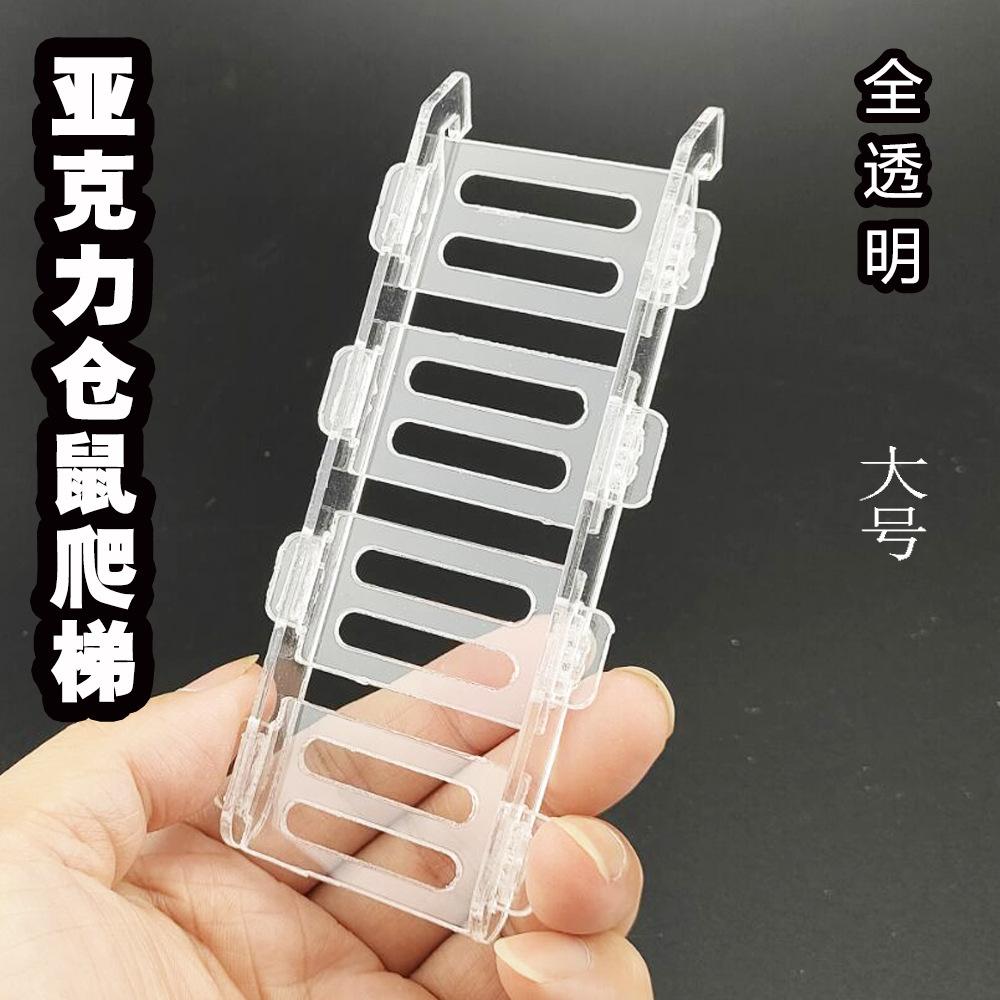 大.jpg