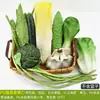 Modelo de Verdura Lechuga Simulación Plástico Brócoli Falso Verduras Verdes Decoración de Cocina Accesorios de Exhibición Juguetes para Niños Materiales Didácticos