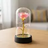 Rosa Flor Eterna Cobertura de Vidro Ornamento Luz Noturna Dia dos Namorados Chinês Dia das Mães Natal Dia dos Namorados Presente Presente Transfronteiriço