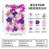 Materiales para manualidades con flores secas, especímenes de plantas de flores prensadas, marcapáginas hechos a mano para maquillaje facial, kits de materiales para pintura con flores prensadas, flores reales naturales